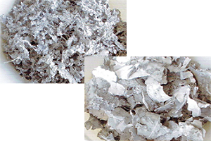 セル・バックシートのイメージ